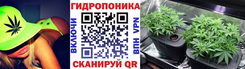 Бошки марихуана OG Kush  закладки  дарк нет состав  Арамиль 
